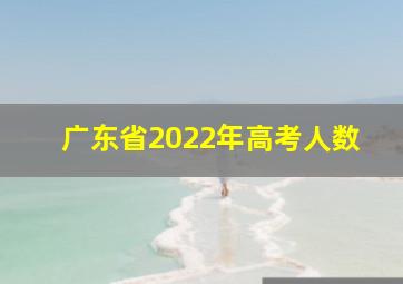 广东省2022年高考人数