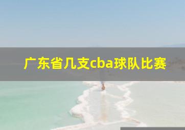 广东省几支cba球队比赛