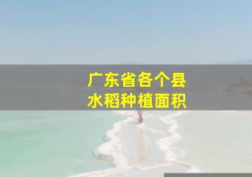 广东省各个县水稻种植面积