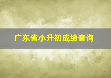 广东省小升初成绩查询