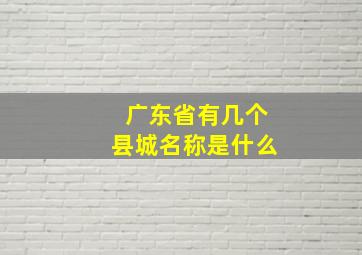 广东省有几个县城名称是什么