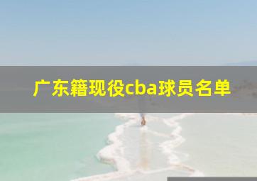 广东籍现役cba球员名单