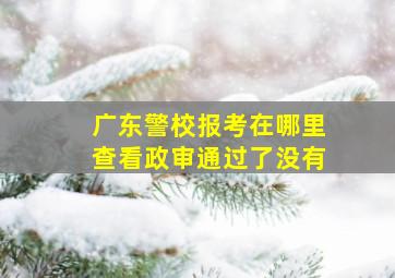 广东警校报考在哪里查看政审通过了没有