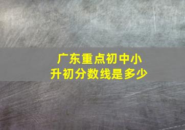 广东重点初中小升初分数线是多少