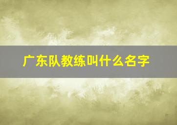 广东队教练叫什么名字