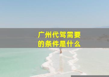 广州代驾需要的条件是什么