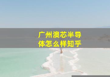 广州澳芯半导体怎么样知乎