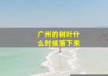 广州的树叶什么时候落下来