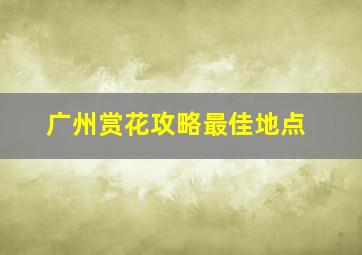 广州赏花攻略最佳地点