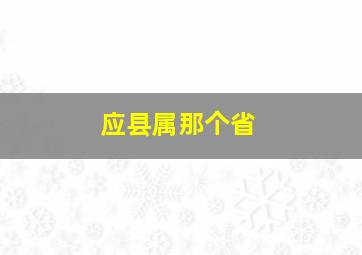 应县属那个省