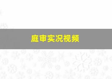 庭审实况视频