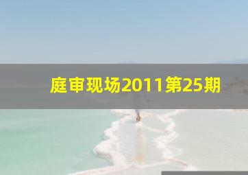 庭审现场2011第25期