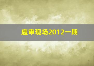 庭审现场2012一期