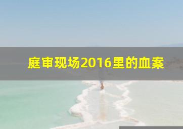 庭审现场2016里的血案