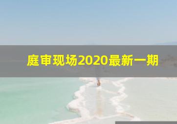 庭审现场2020最新一期