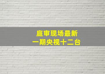 庭审现场最新一期央视十二台