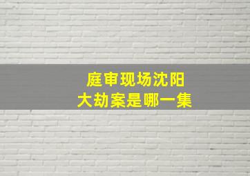 庭审现场沈阳大劫案是哪一集