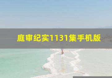 庭审纪实1131集手机版