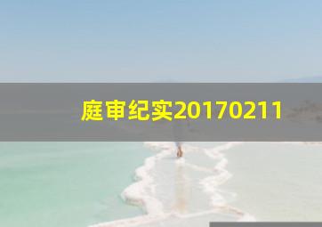 庭审纪实20170211