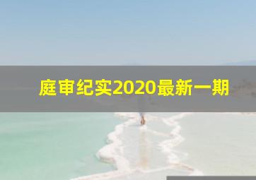 庭审纪实2020最新一期