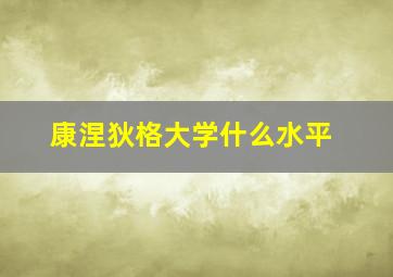 康涅狄格大学什么水平