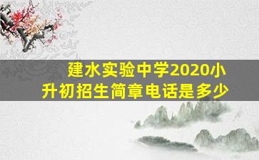 建水实验中学2020小升初招生简章电话是多少