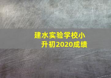 建水实验学校小升初2020成绩