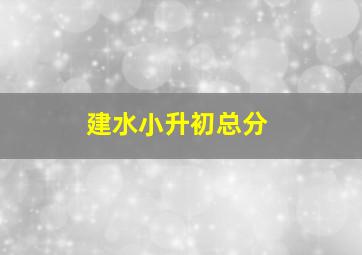 建水小升初总分