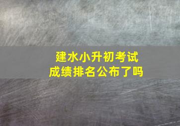 建水小升初考试成绩排名公布了吗