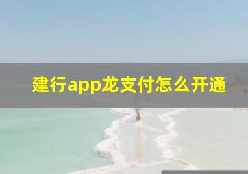 建行app龙支付怎么开通