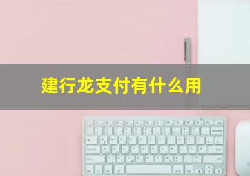 建行龙支付有什么用