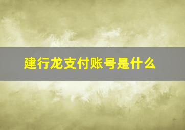 建行龙支付账号是什么