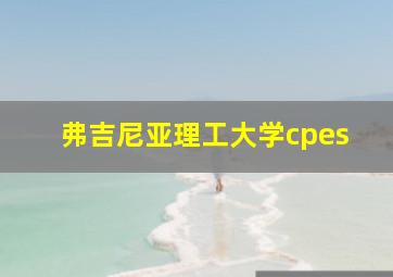 弗吉尼亚理工大学cpes