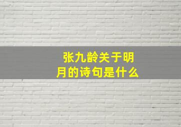 张九龄关于明月的诗句是什么