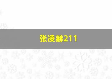 张凌赫211