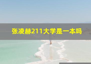 张凌赫211大学是一本吗