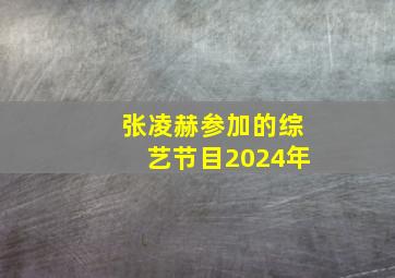 张凌赫参加的综艺节目2024年