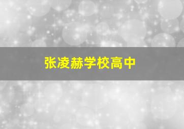 张凌赫学校高中