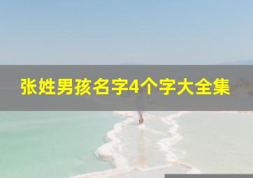 张姓男孩名字4个字大全集