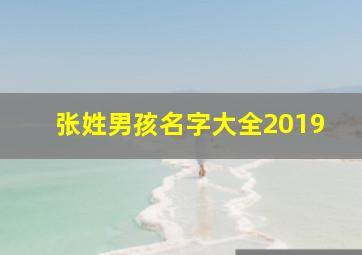 张姓男孩名字大全2019