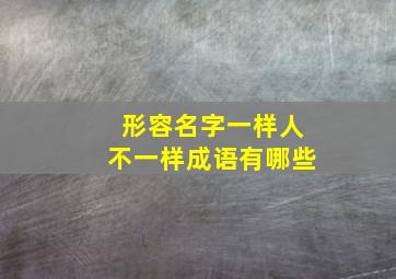 形容名字一样人不一样成语有哪些