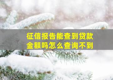 征信报告能查到贷款金额吗怎么查询不到