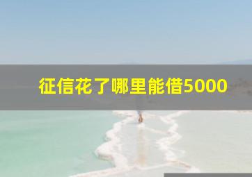 征信花了哪里能借5000