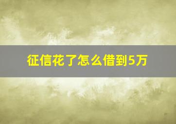 征信花了怎么借到5万