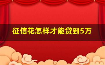 征信花怎样才能贷到5万