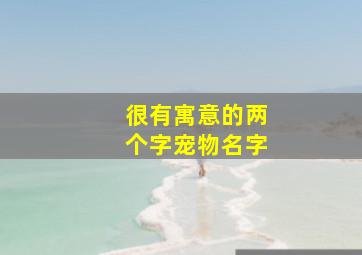 很有寓意的两个字宠物名字