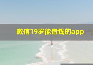 微信19岁能借钱的app