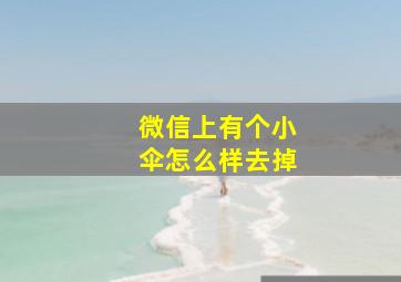 微信上有个小伞怎么样去掉