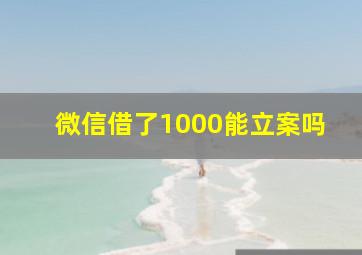 微信借了1000能立案吗