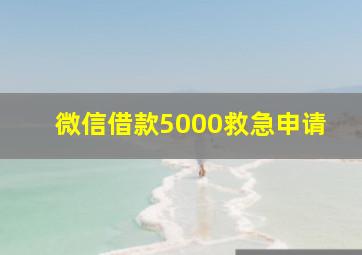 微信借款5000救急申请